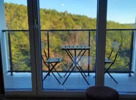 Goga Apartmani