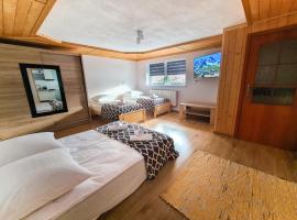 Apartament Za Potokiem, hotel in Groń