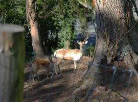 Chez Madame Irma, Hotel in Sougné-Remouchamps