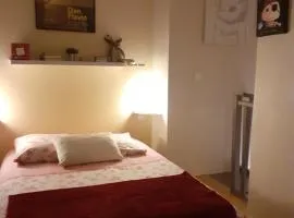 T1bis duplex Hyper centre historique de BX