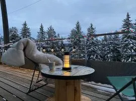 Mélèze B *** plein Sud