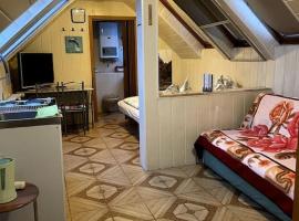Cozy Ferienapartment in Golßen nahe Tropical Island, pet-friendly hotel in Golßen
