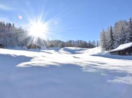 APPART ZIG-ZAG LES COCHES, hotel in Les Coches