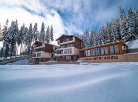 Boutique Villas Murgavets Pamporovo, serviced apartment in Pamporovo