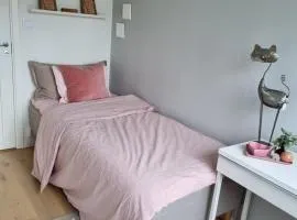 The pink room