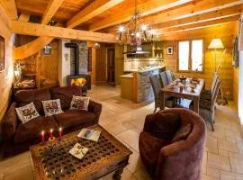 Chalet cosy 6 pers avec SPA, terrasse sud, proche station ski, animaux admis - FR-1-393-16