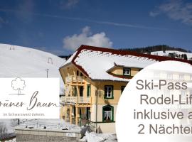 Grüner Baum Naturparkhotel & Schwarzwald-Restaurant, hotell sihtkohas Todtnau