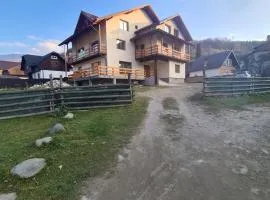 Casa Bujor de Munte Dragoslavele