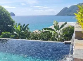 studio cosi, jardin privé, vue magique depuis piscine à débordement de la résidence