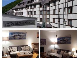 Brzeće Center Studio Mitrovski Gondola 300m, hotel perto de Bela reka 2 ski lift, Kopaonik