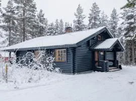 Holiday in Lapland - Levisalmi A