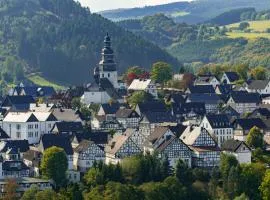 Beautiful 8 Bed Apartment in Hallenberg
