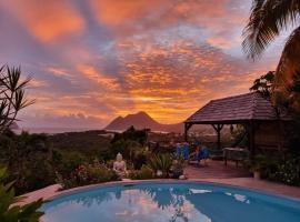 TI coin de paradis Frangipanier