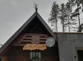Vila Vlajić 2015