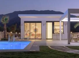 pelagias villa lefka with heated pool
