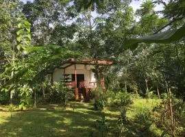 Baansuan Suksangob Farm Stay