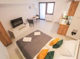 Apartament City Center Classic 2