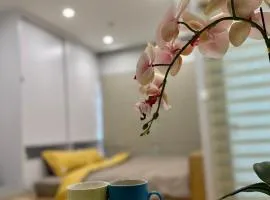 Vinhome Smart City Tây Mỗ Nam Từ Liêm Hà Nội