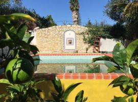 Lovely quinta in nature with pool - Tomar, cheap hotel in Pero Calvo