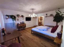 Gemütliches Studio mit Garagenparkplatz