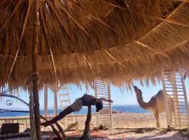 COSMOS nature Lodge and Spiritual community