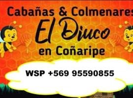 Cabañas El Diuco en Coñaripe 4, smáhýsi í Coñaripe