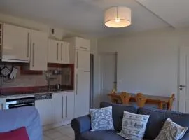 Appartement vaste et lumineux en centre-ville! - FR-1-693-31