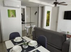 RICAURTE, Moderno, confortable apto, AC, Parquead, Wifi