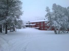 Vatnahalsen Høyfjellshotell, отель в городе Мюрдаль, рядом находится Vatnahalsen Ski Lift