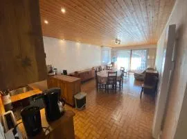 Spacieux appartement 3 pièces proche des pistes avec Wi-Fi et parking - FR-1-692-25