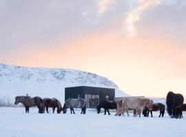 Akurgerði Guesthouse 4 - Country Life Style, semesterhus i Ölfus