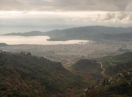 The Fern House, hotel di Makrinitsa