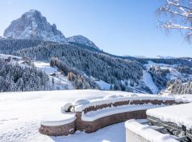 Viesnīca Chalet Villa Carolina pilsētā Selva di Val Gardena