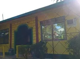 Rodel Yellow Hauz