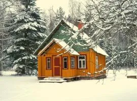 Nedsaja metsamaja ja saun