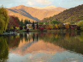 Lopota Lake Resort & Spa, hotel v mestu Napareuli