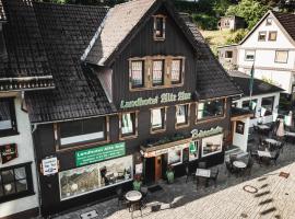 Landhotel Alte Aue, bed and breakfast en Altenau