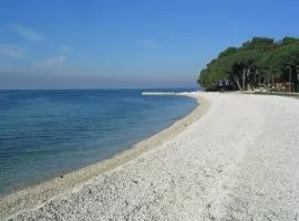Apartment in Fazana with balcony, air conditioning, W-LAN,washing machine 229-1