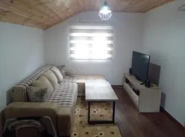 Apartman Branko