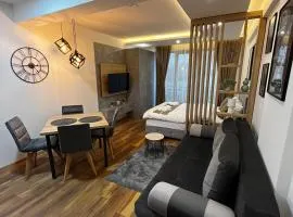President Kop - Silver Ice Apartment
