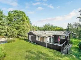 3 Bedroom Pet Friendly Home In Blokhus