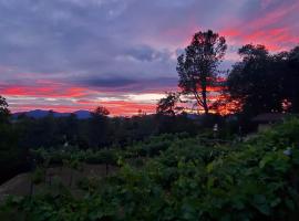 The God Spa, hotel cerca de Universidad Simpson, Redding