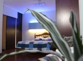 Two-room apartment metro levada