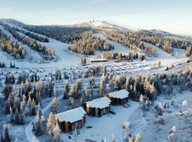 Holiday homes Ruka