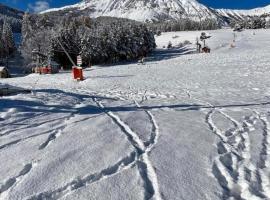 Laye Station - Appartement pieds des pistes, hotel near Le Grand Clot Ski Lift, Laye