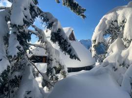Velika planina - Chalet Stane - Alps，位于Stahovica的木屋