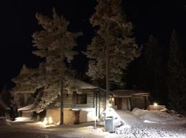 Riihilinna Ski Lodge, Säynätsalo Town Hall, Muurame, hótel í nágrenninu