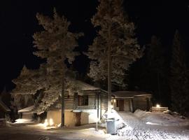 Riihilinna Ski Lodge, cabin in Muurame