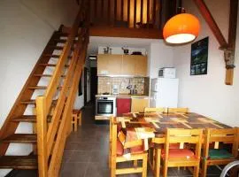 Duplex 4 pièces pour 6 pers à 300m des pistes avec parking gratuit - Auris en Oisans - FR-1-297-295