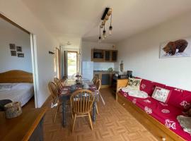 Appartement 6 places La Toussuire, hotel a La Toussuire